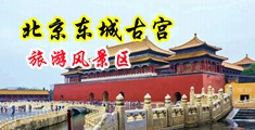 亚洲破处操逼视频中国北京-东城古宫旅游风景区